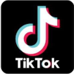 TikTok reveals Pakistan’s top searches in 2025
