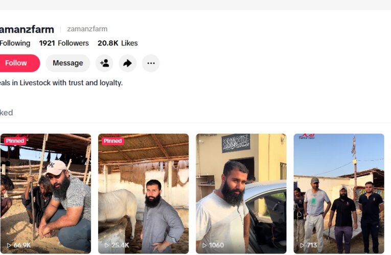 From farm gate to For You feed: How TikTok is helping livestock sellers build business trust